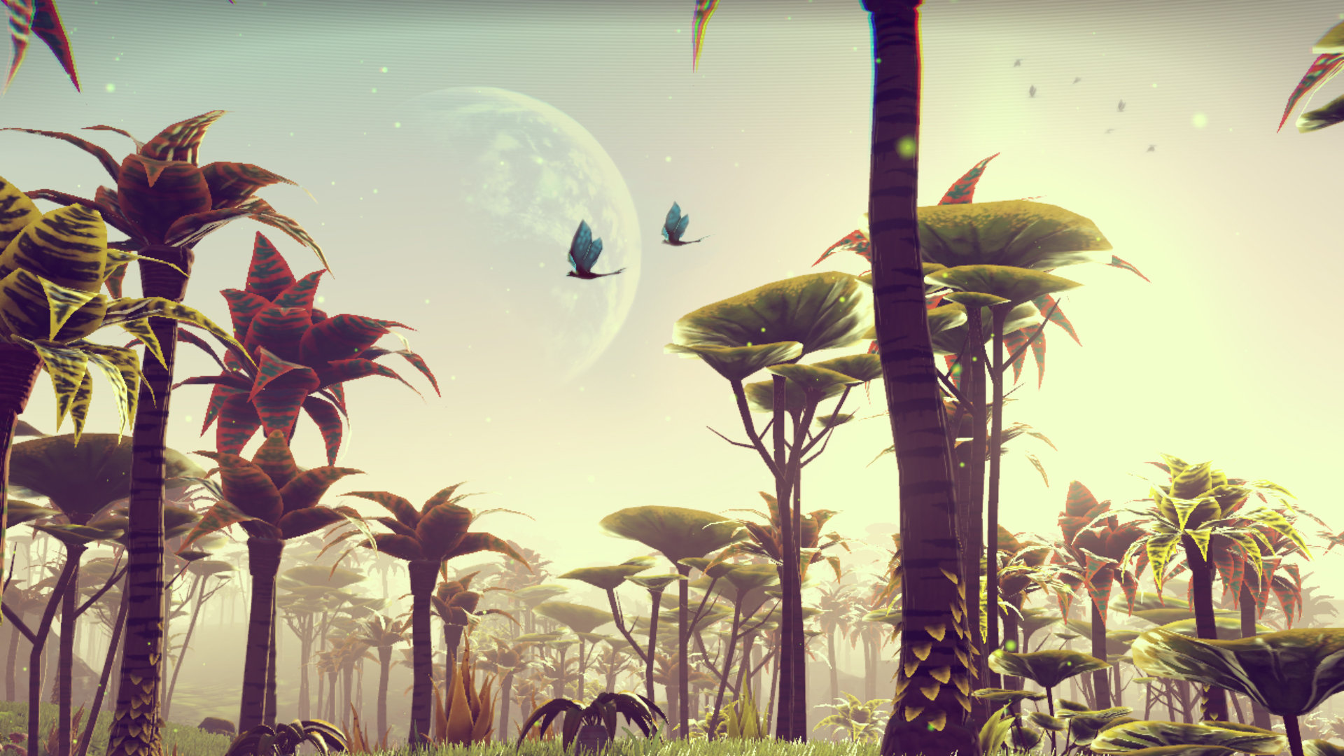 no man's sky wp1