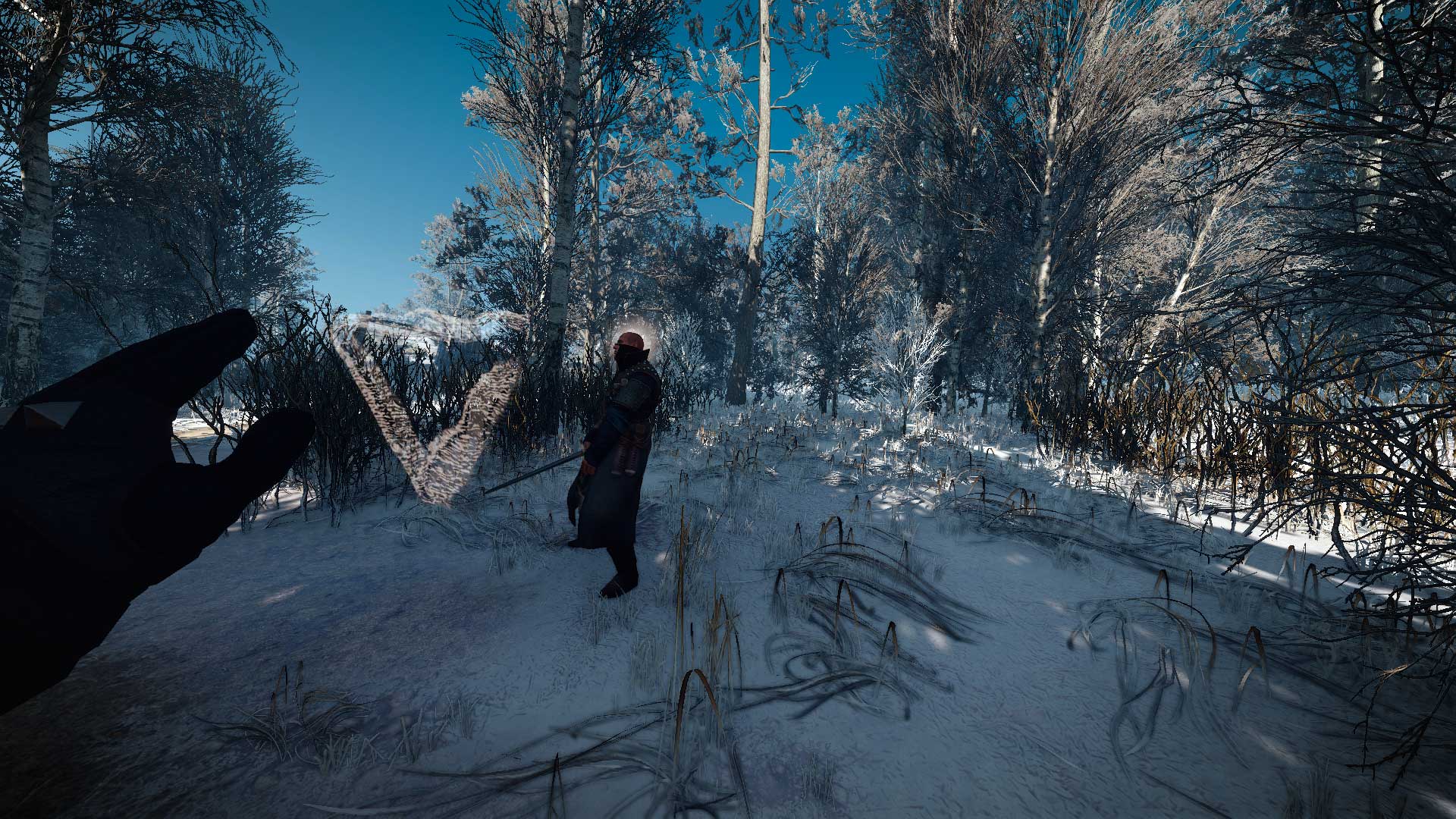 The Witcher 3 Wild Hunt MOD FPS