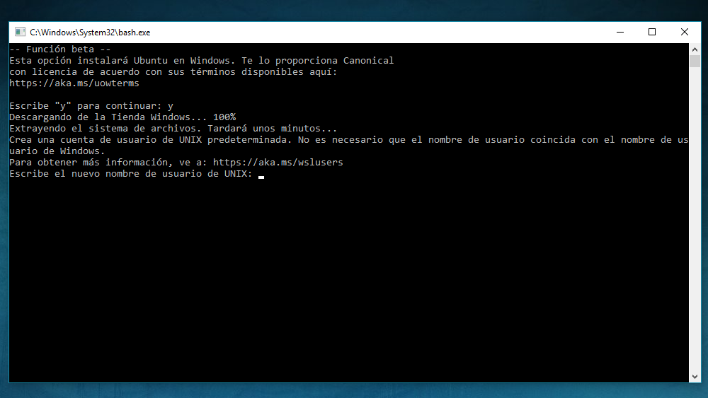 bash windows 10