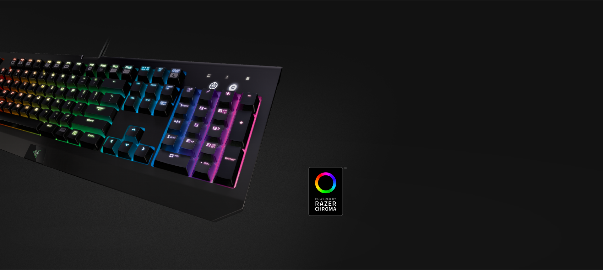 razer blackwidow ultimate chroma 02