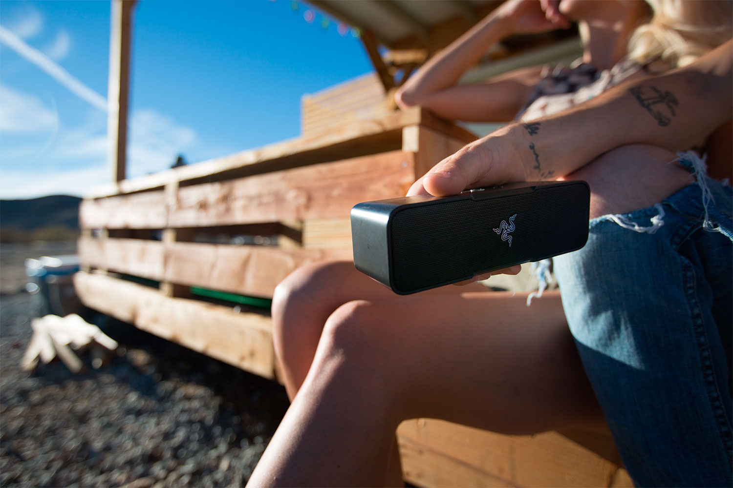 Razer Leviathan Mini 1