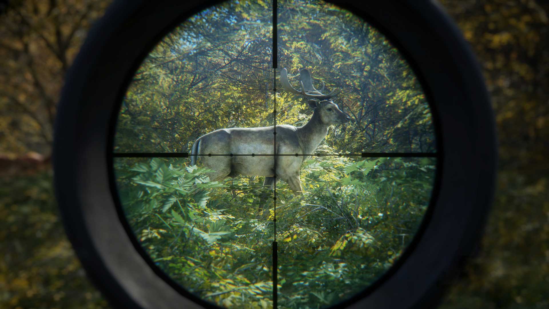 Call of the Wild 1