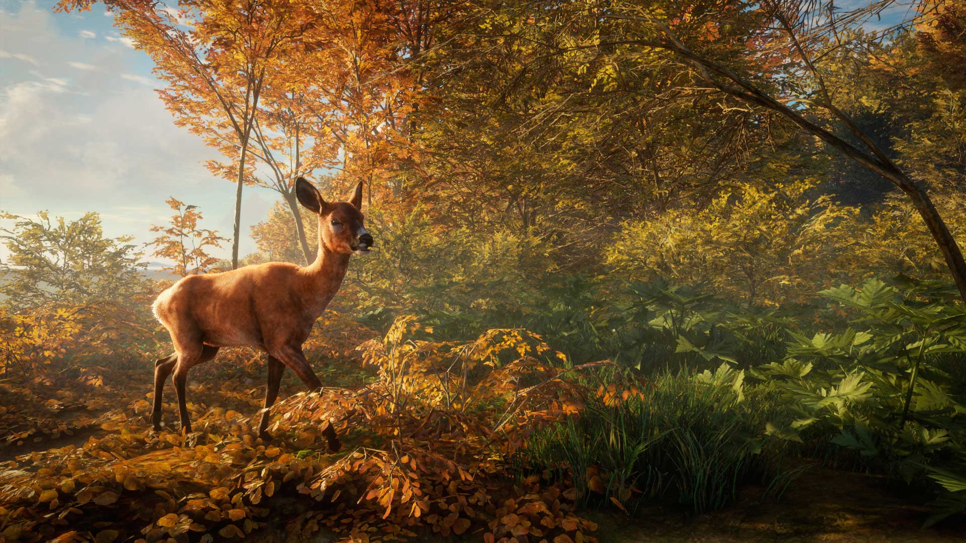 Call of the Wild 2