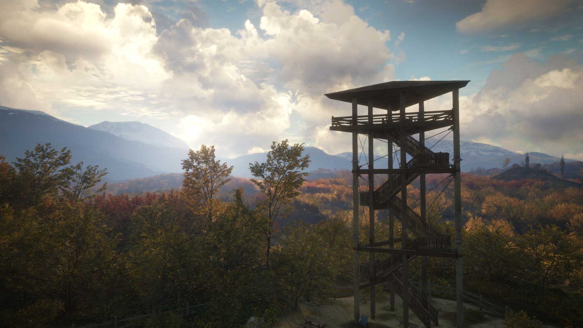 Call of the Wild 7