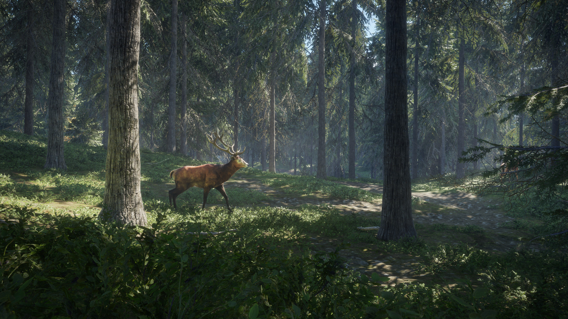 theHunter Call of the Wild Análisis 1