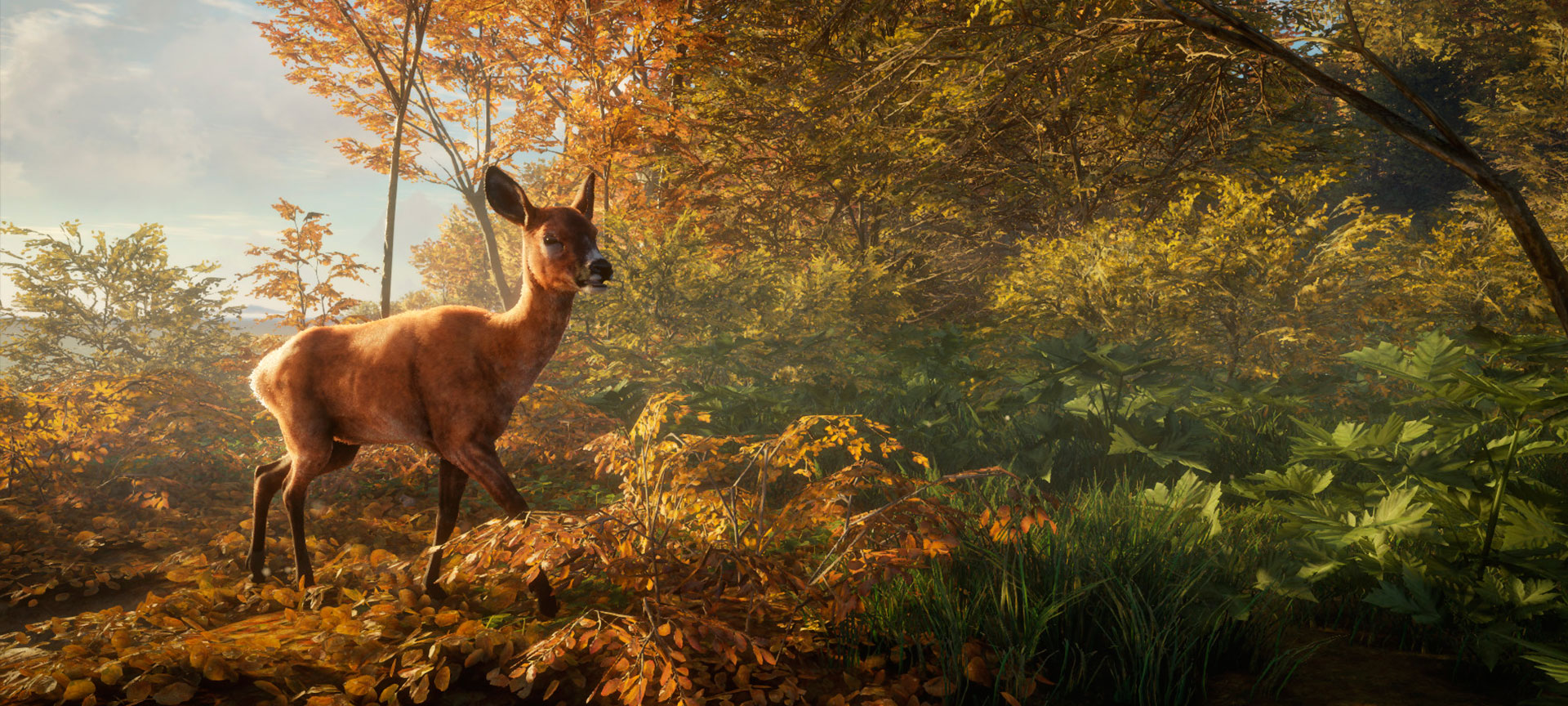 theHunter Call of the Wild Análisis 4