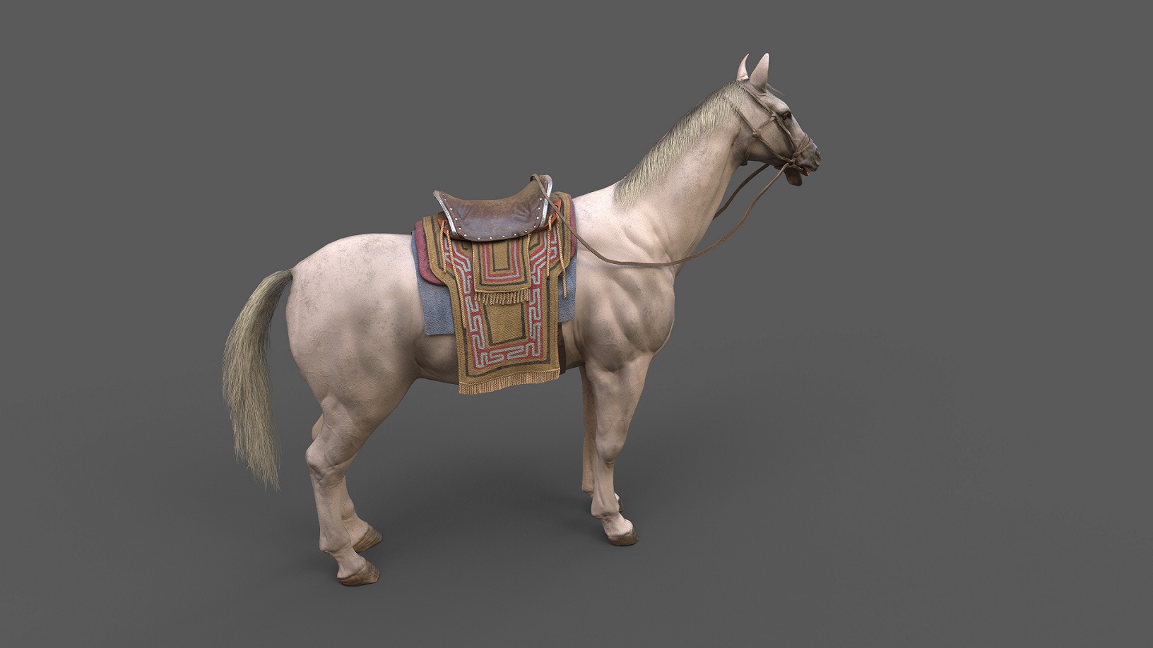 horse saddle
