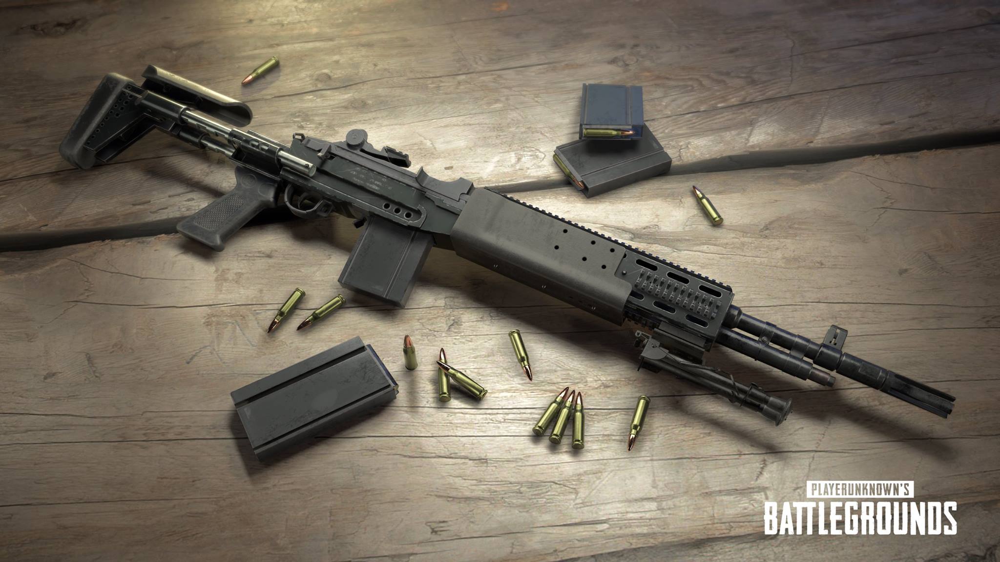 MK14 EBR PUBG