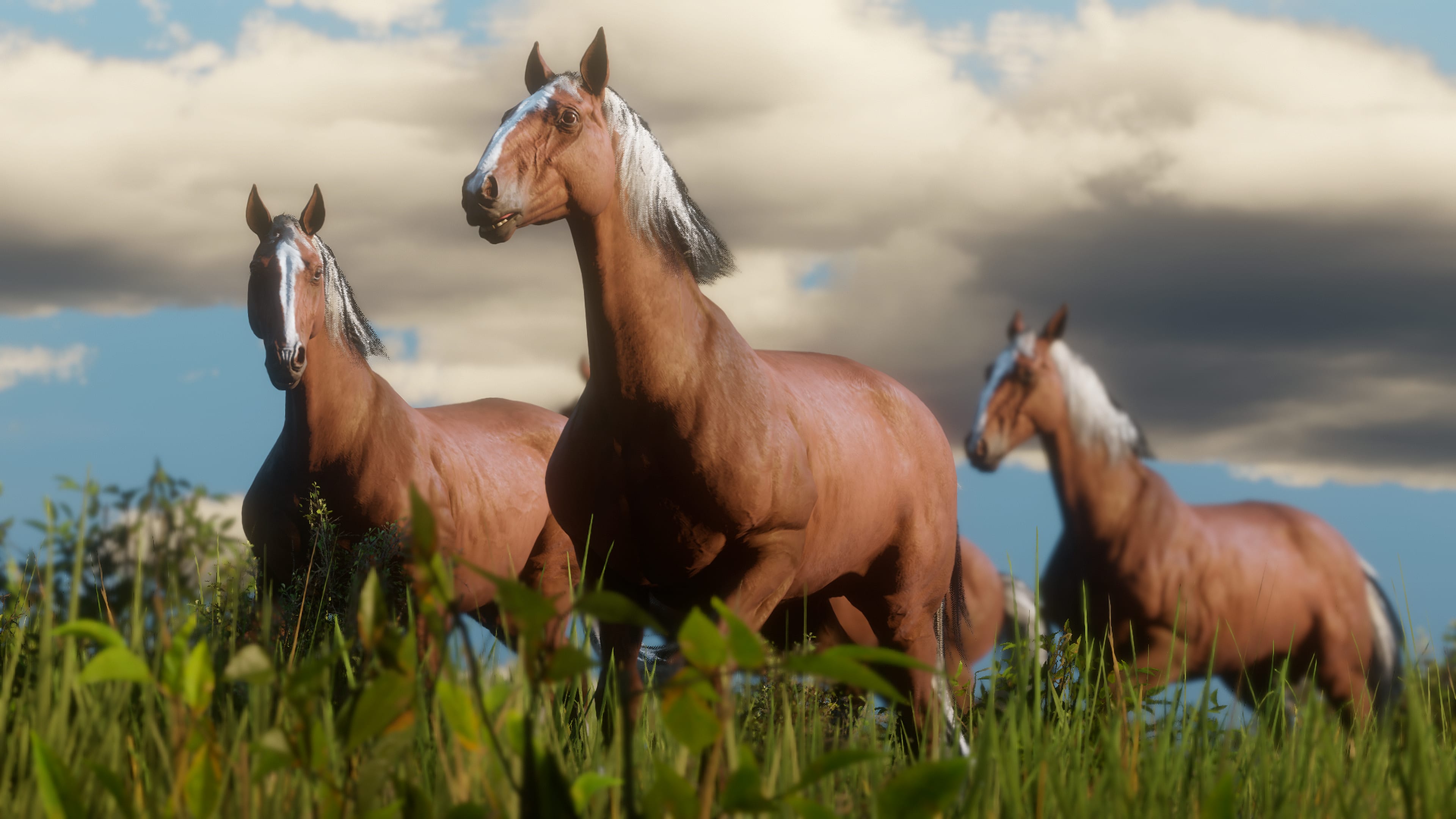 Red Dead Redepmtion 2 Caballos 2