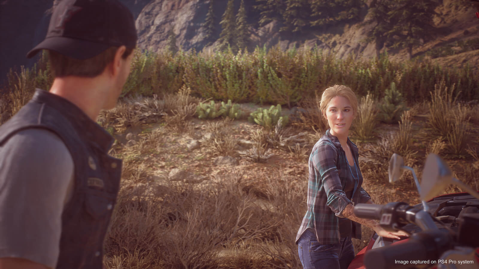 Days Gone San Valentin 3