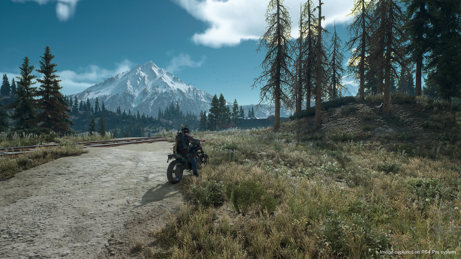 Days Gone San Valentin 4