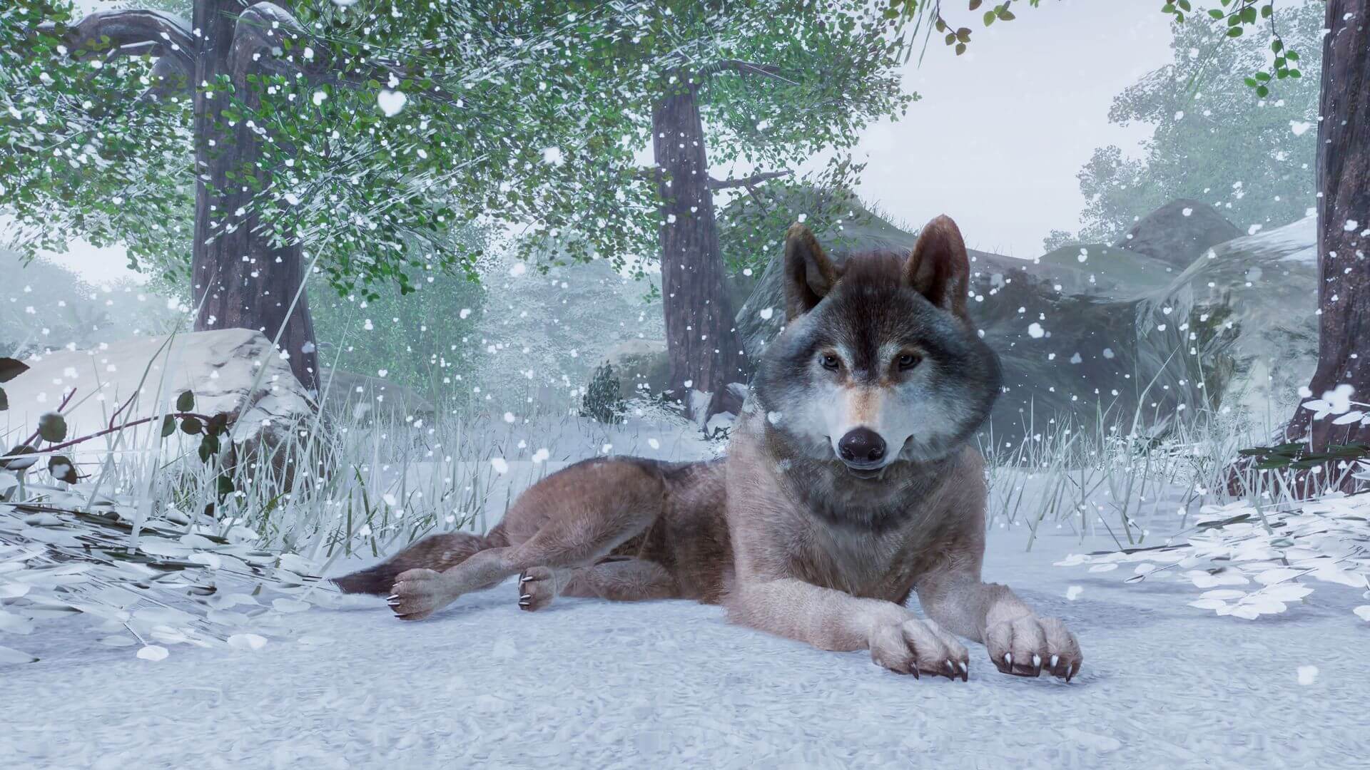 Planet Zoo Anuncio 2