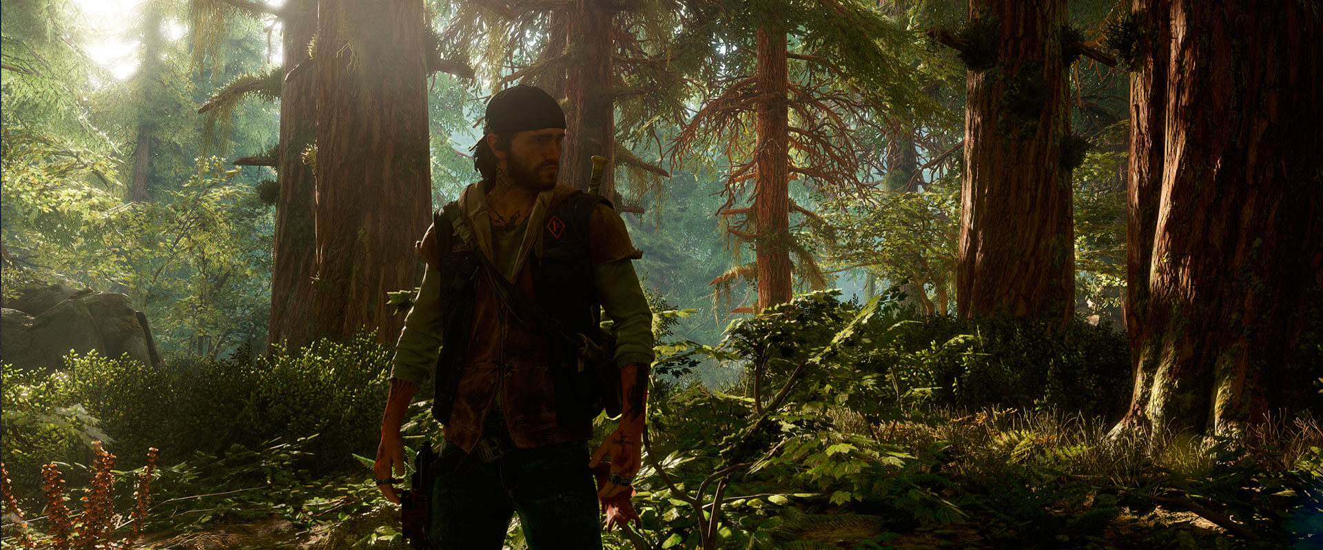 Days Gone Análisis Texto 1