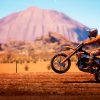características de MXGP 2019