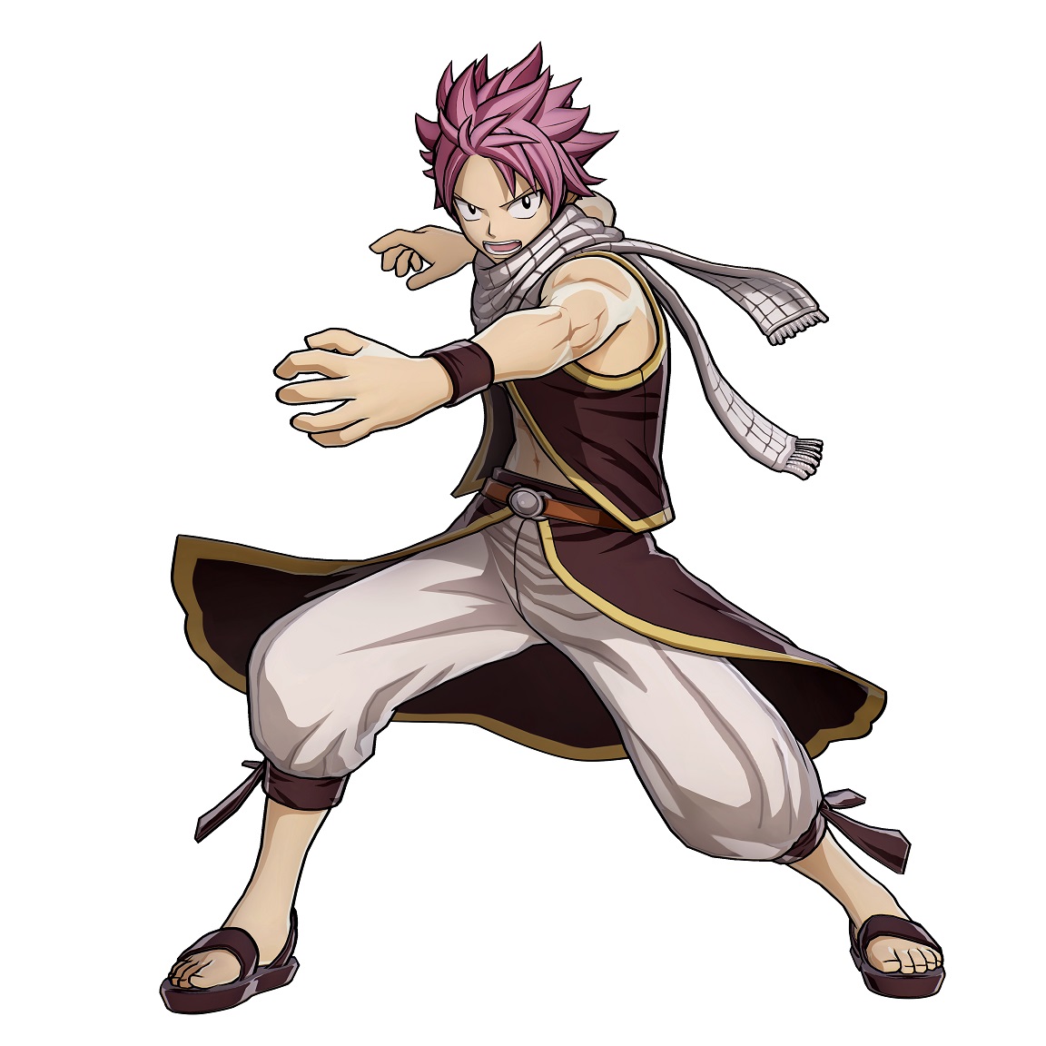 Fairy Tail Natsu