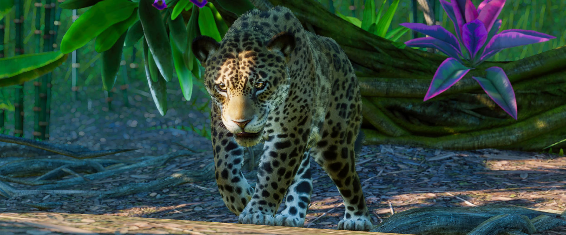 Planet Zoo South America Pack