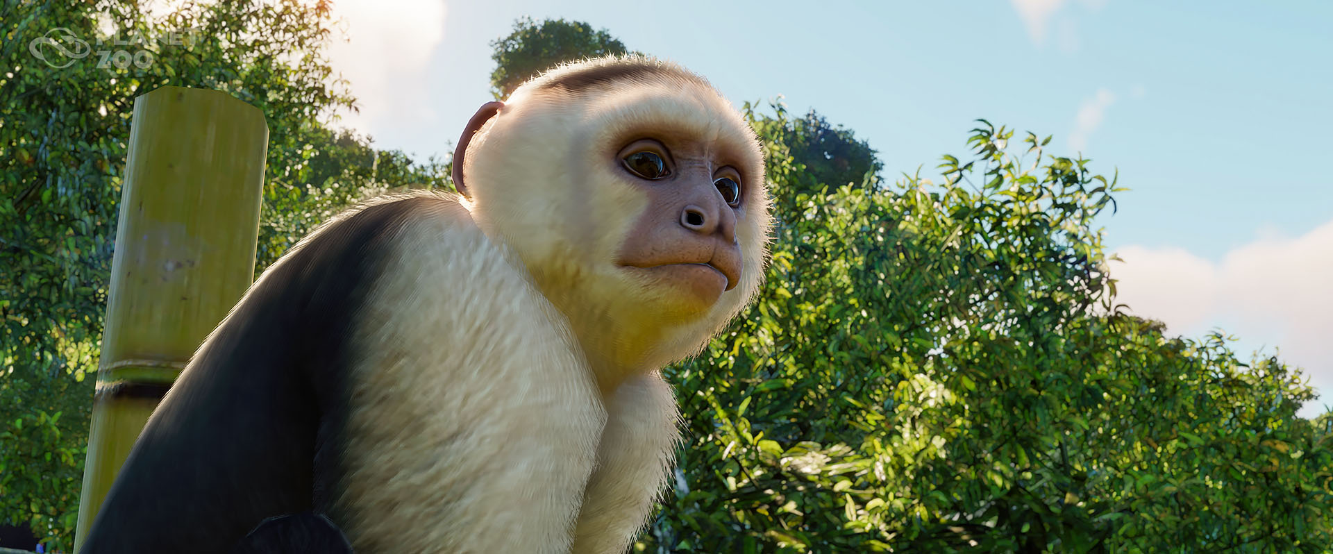Planet Zoo South America Pack Análisis Texto 5