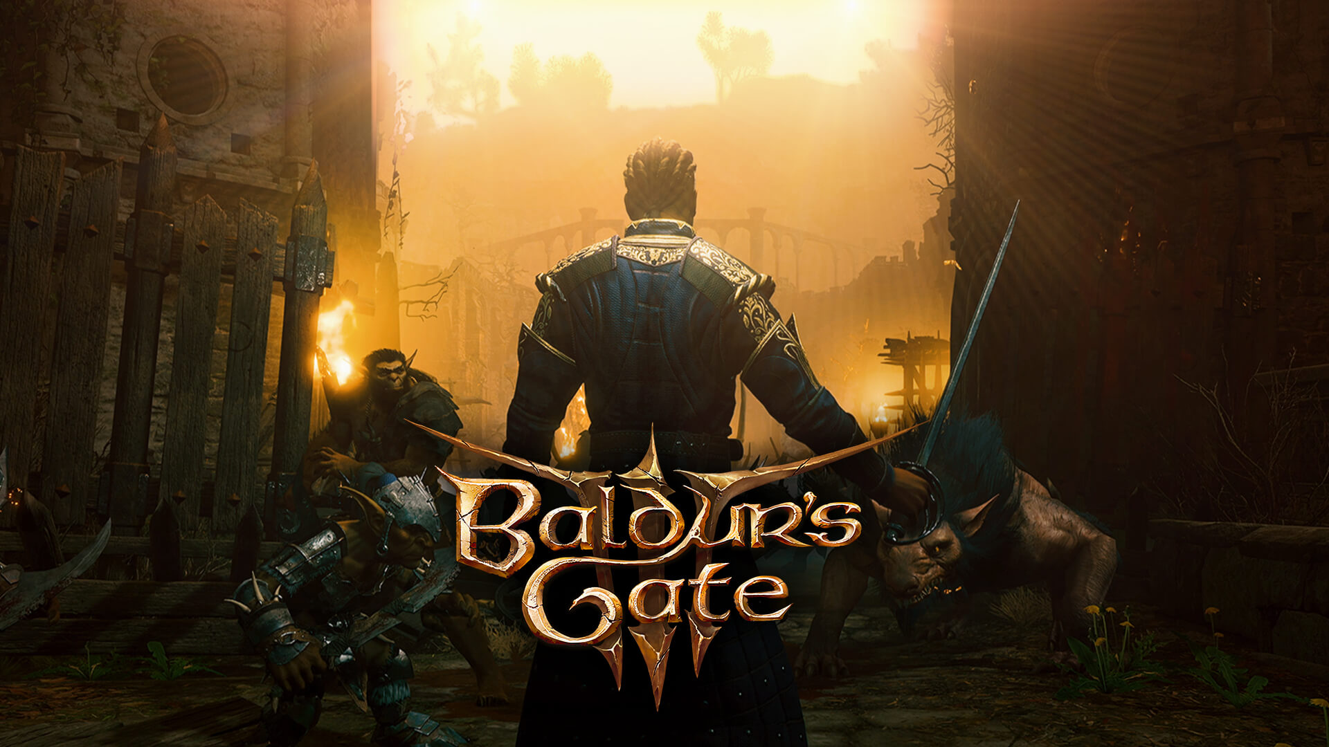 Baldurs Gate 3 Early Access