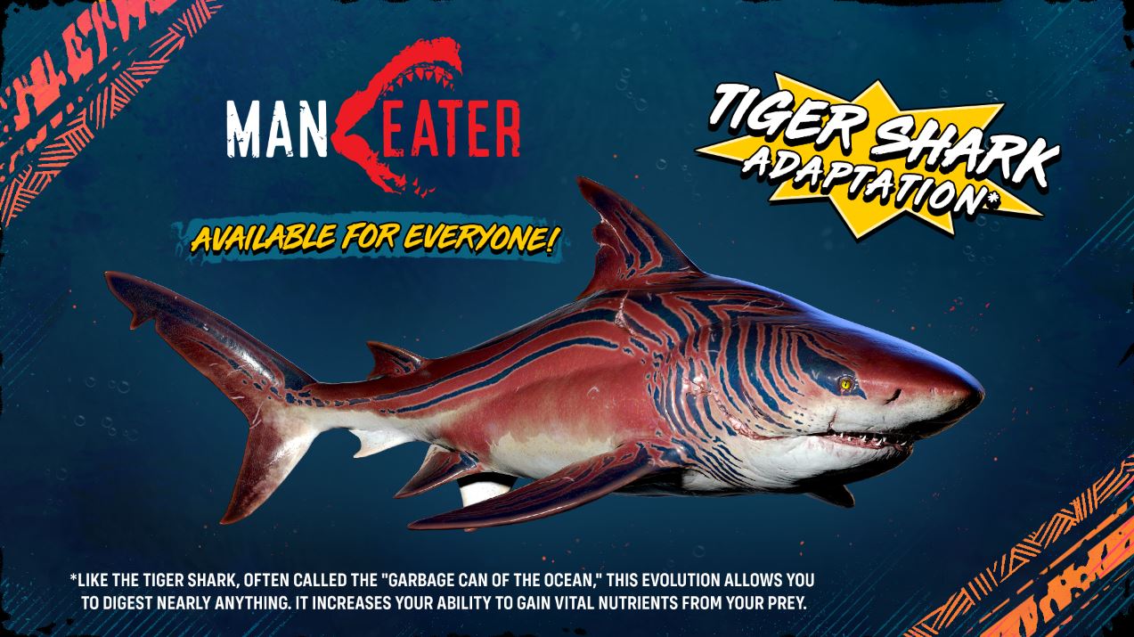 tiburón tigre Maneater