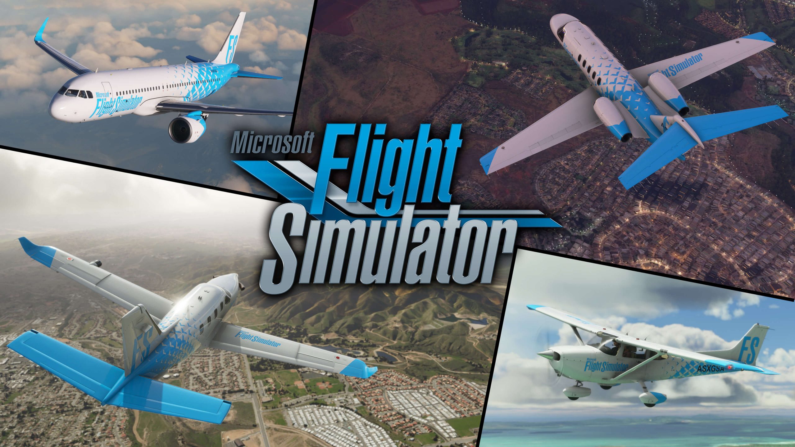 Flight Simulator