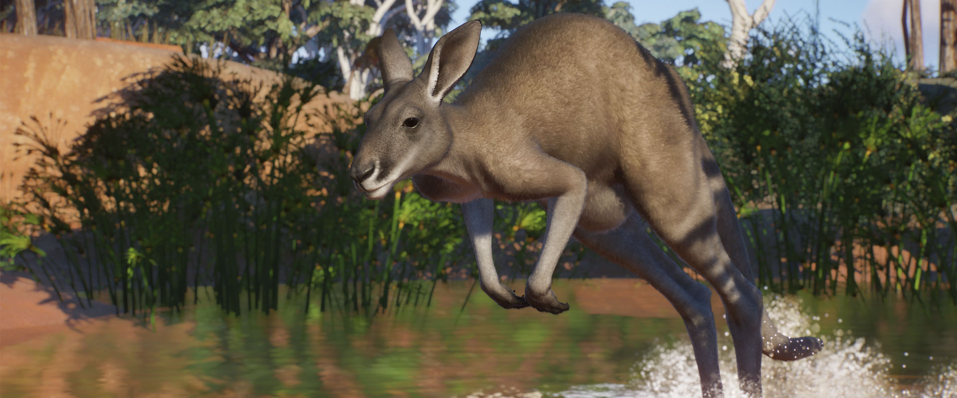 Planet Zoo Australia Pack Analisis Texto 5