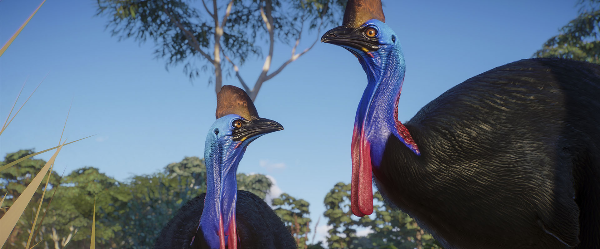 Planet Zoo Australia Pack Analisis Texto 8
