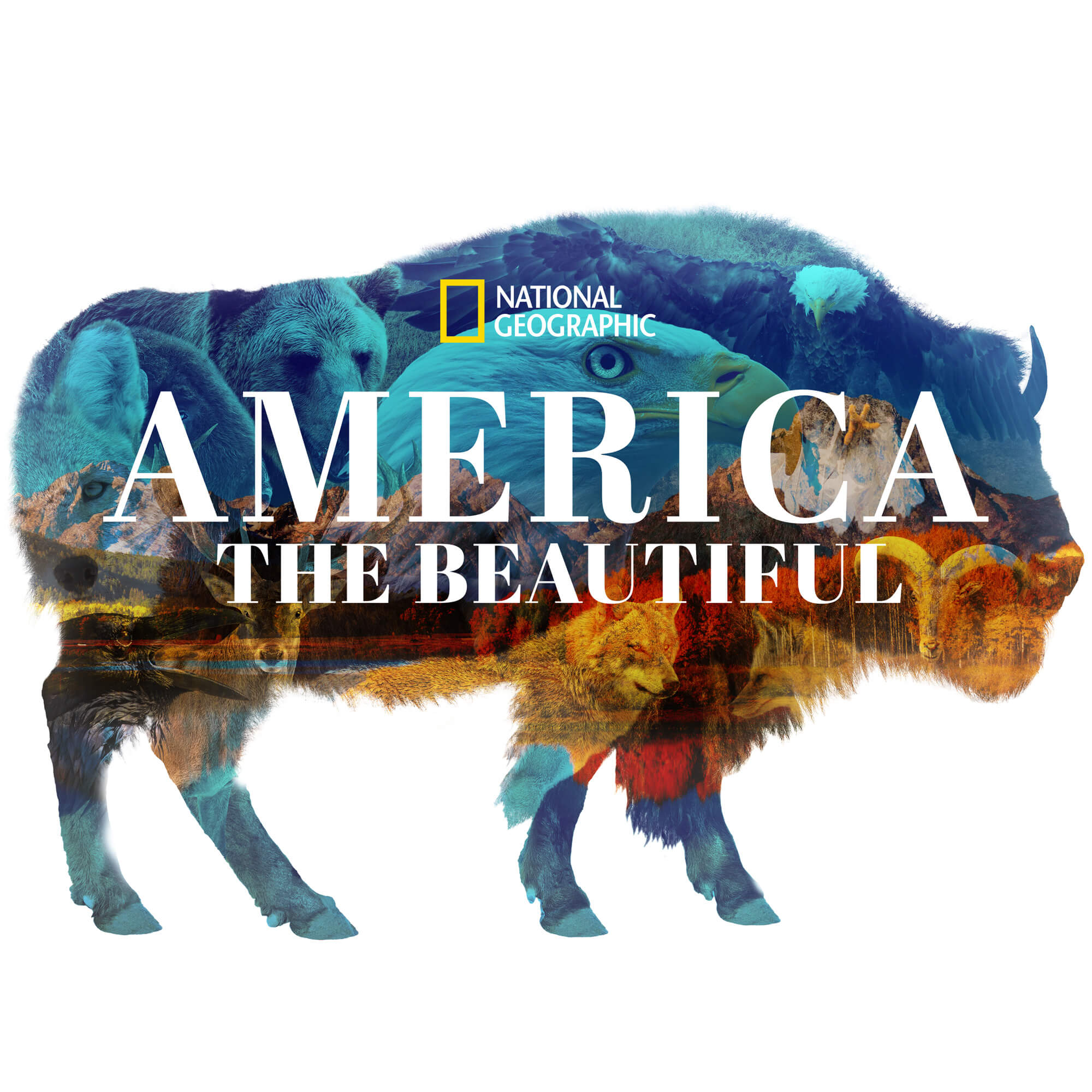 America The Beautiful