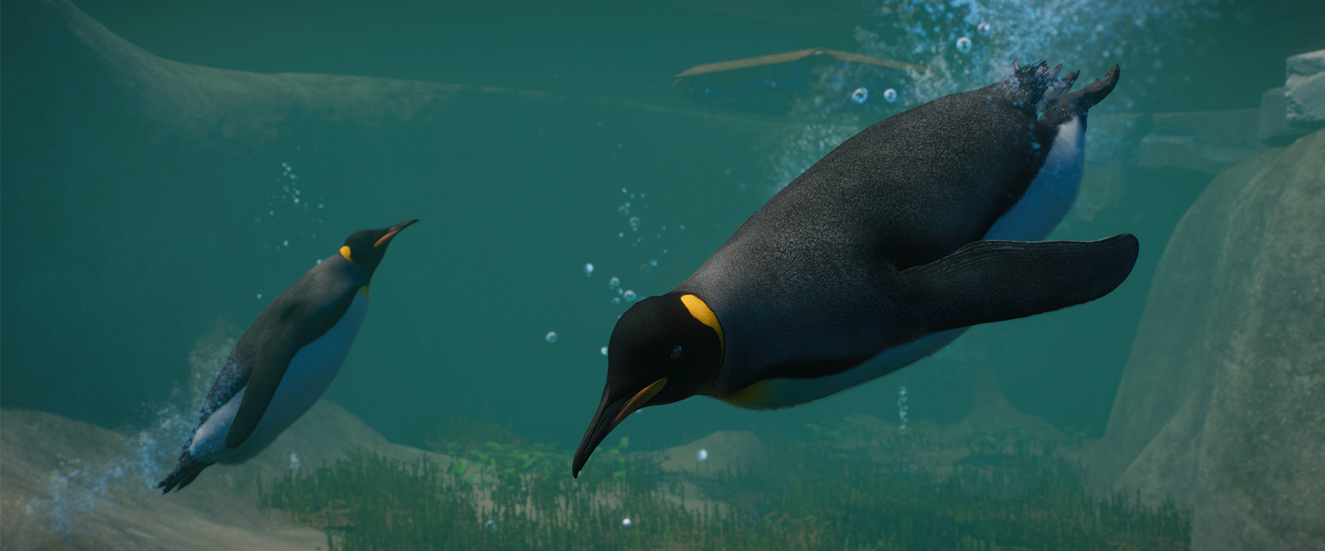 Planet Zoo: Aquatic Pack