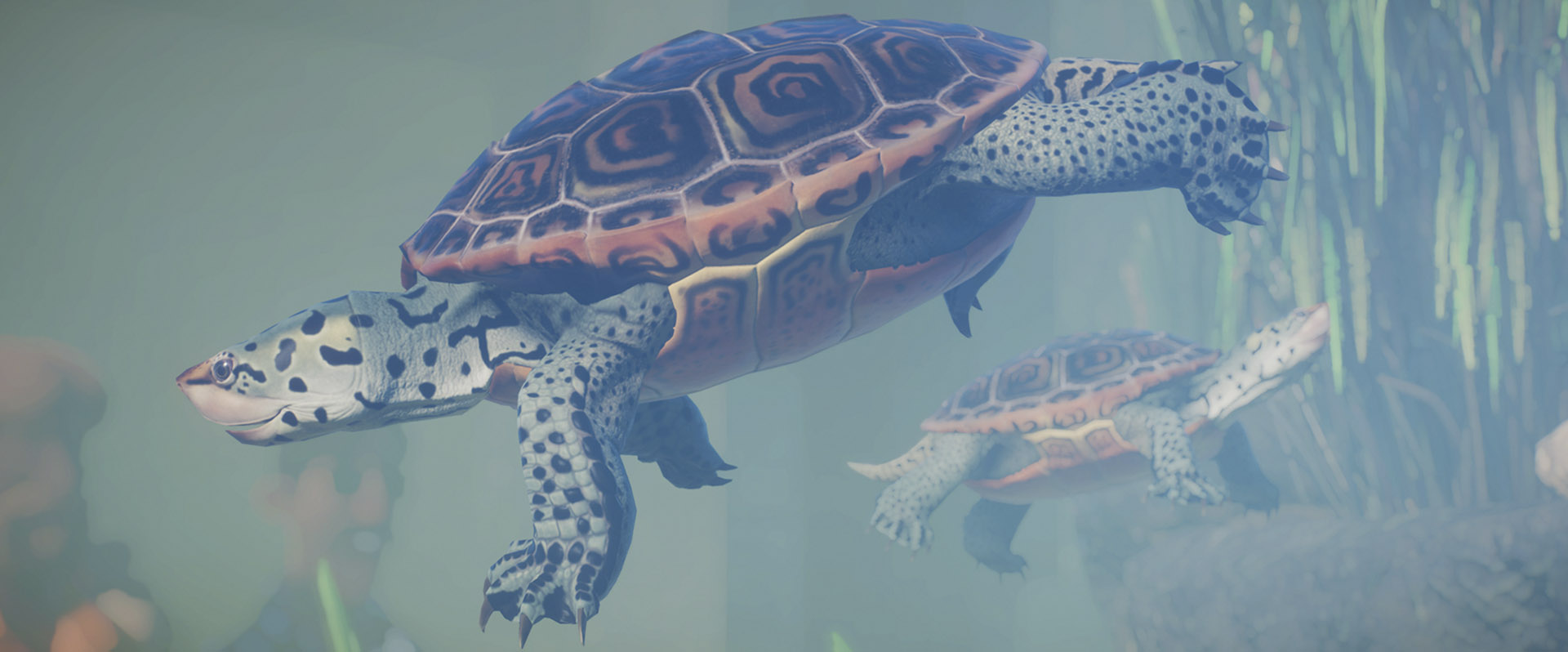 Planet Zoo: Aquatic Pack