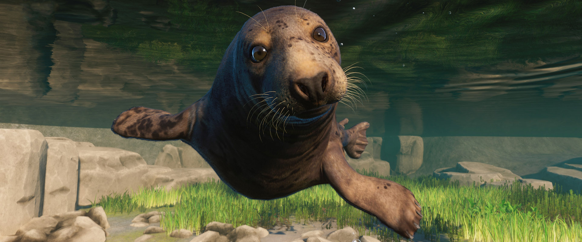 Planet Zoo: Aquatic Pack