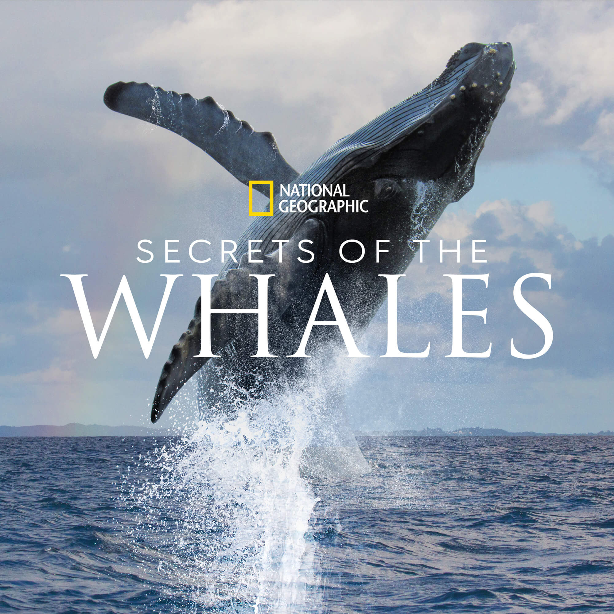 Secrets of the Whales