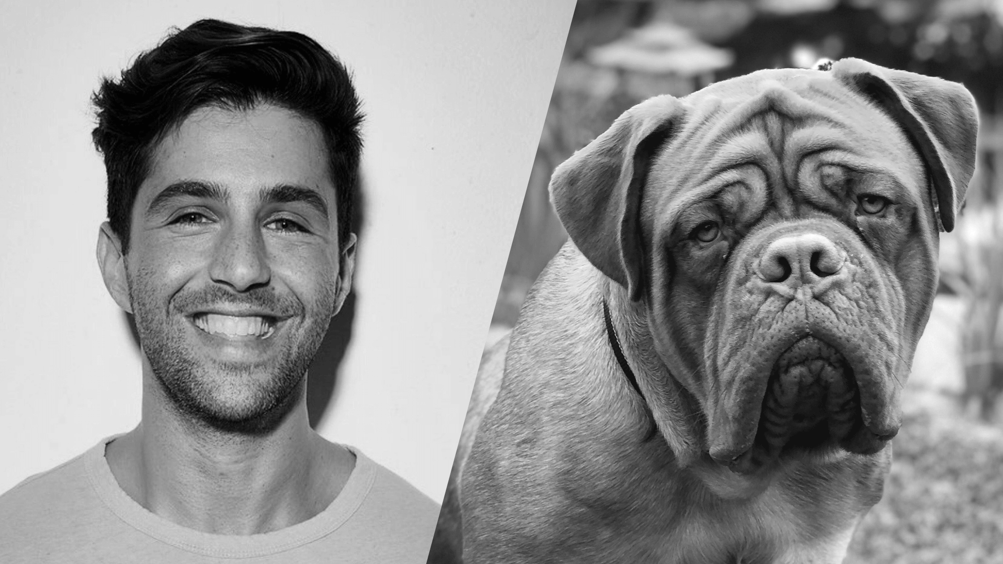 Turner Hooch