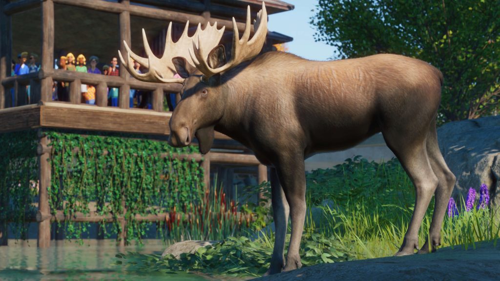 Planet Zoo: North America Animal Pack