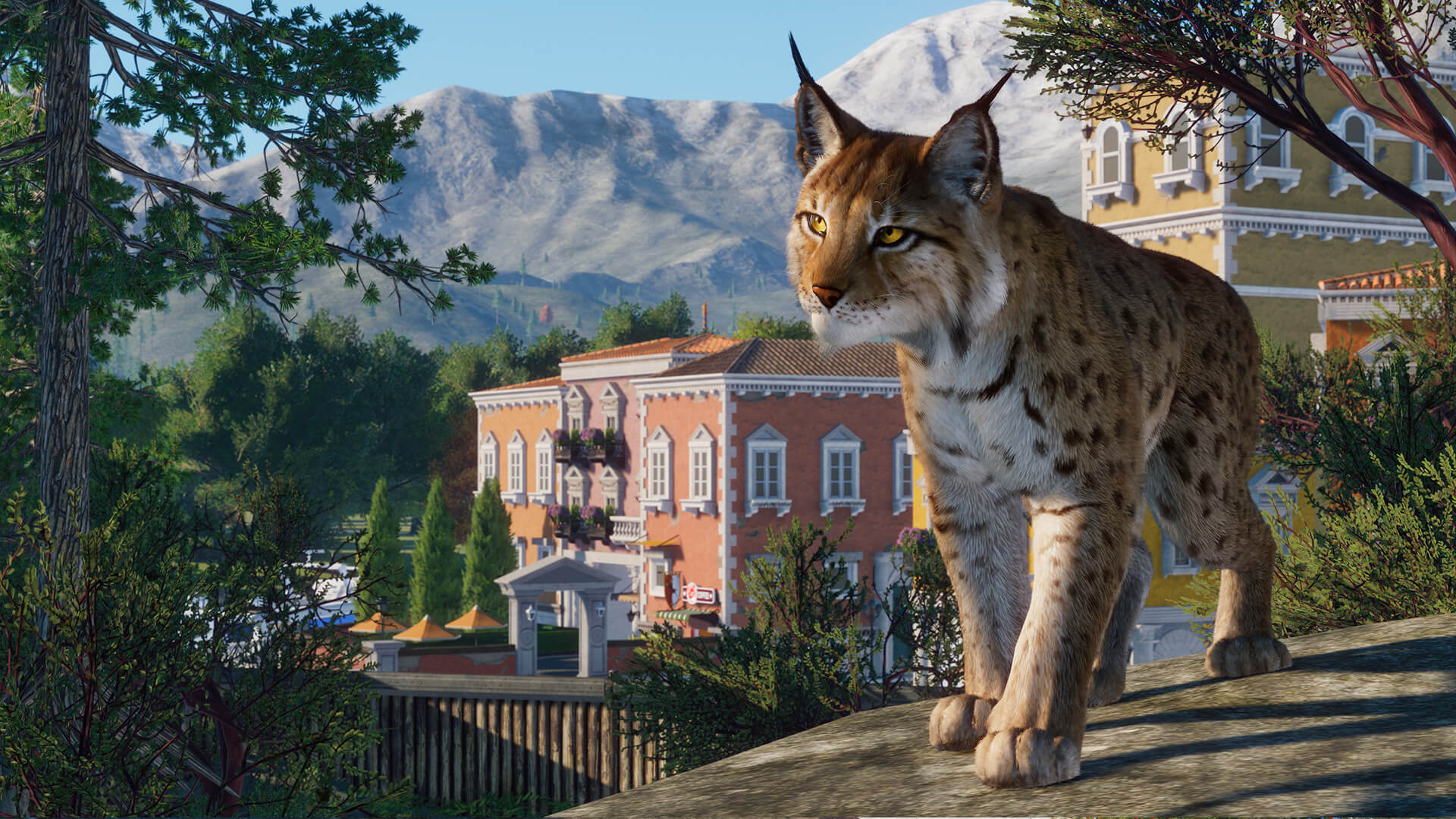 Planet Zoo Lince