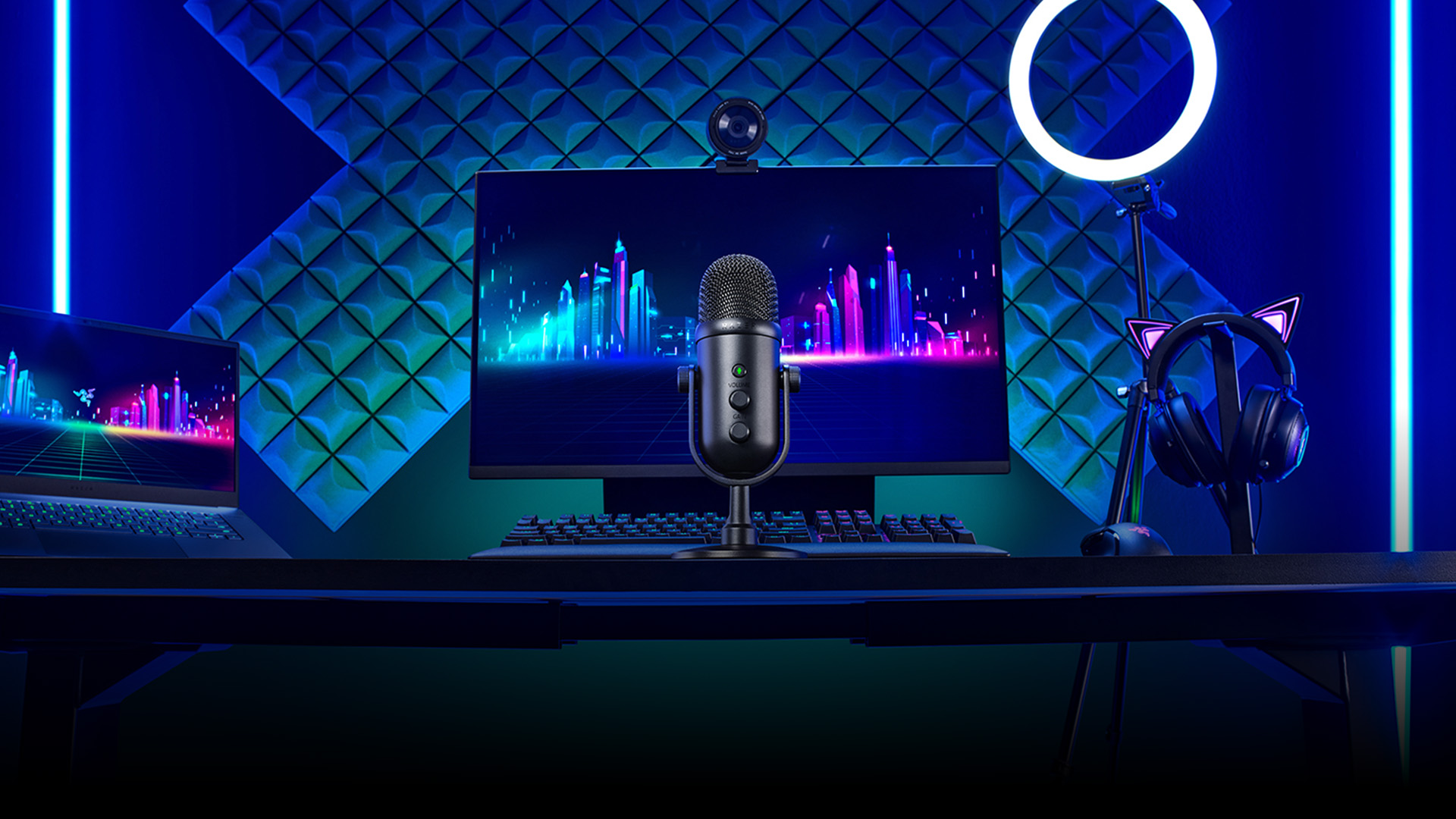 Razer Seiren V2 Pro