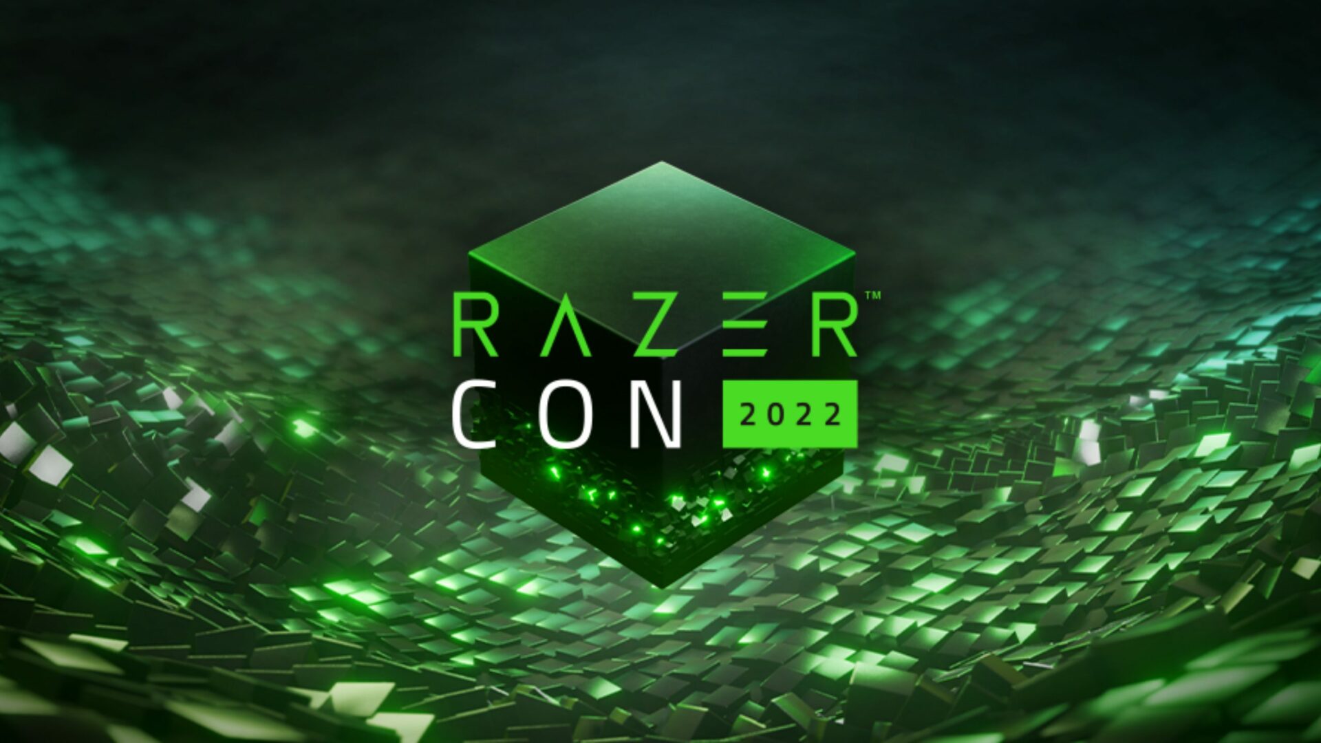 Razercon 2022 Art