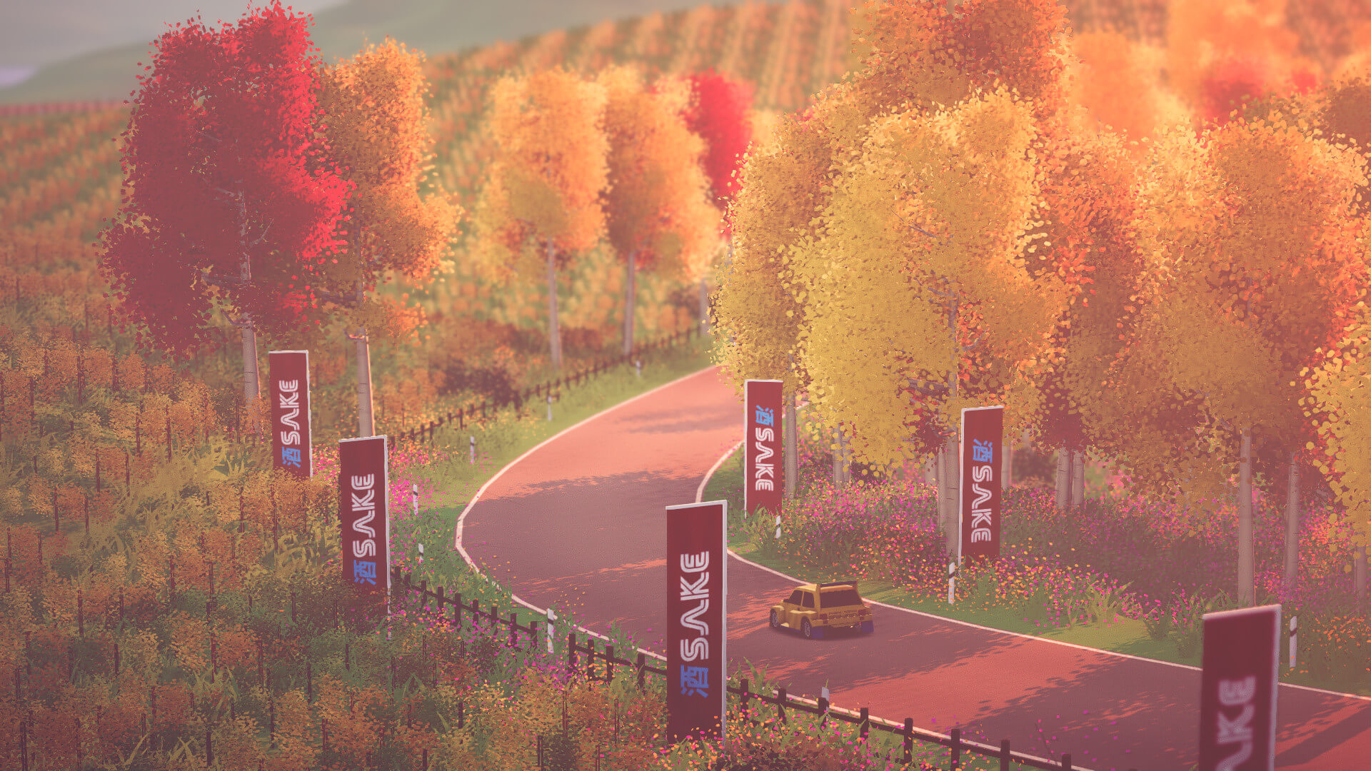 art of rally Pantalla