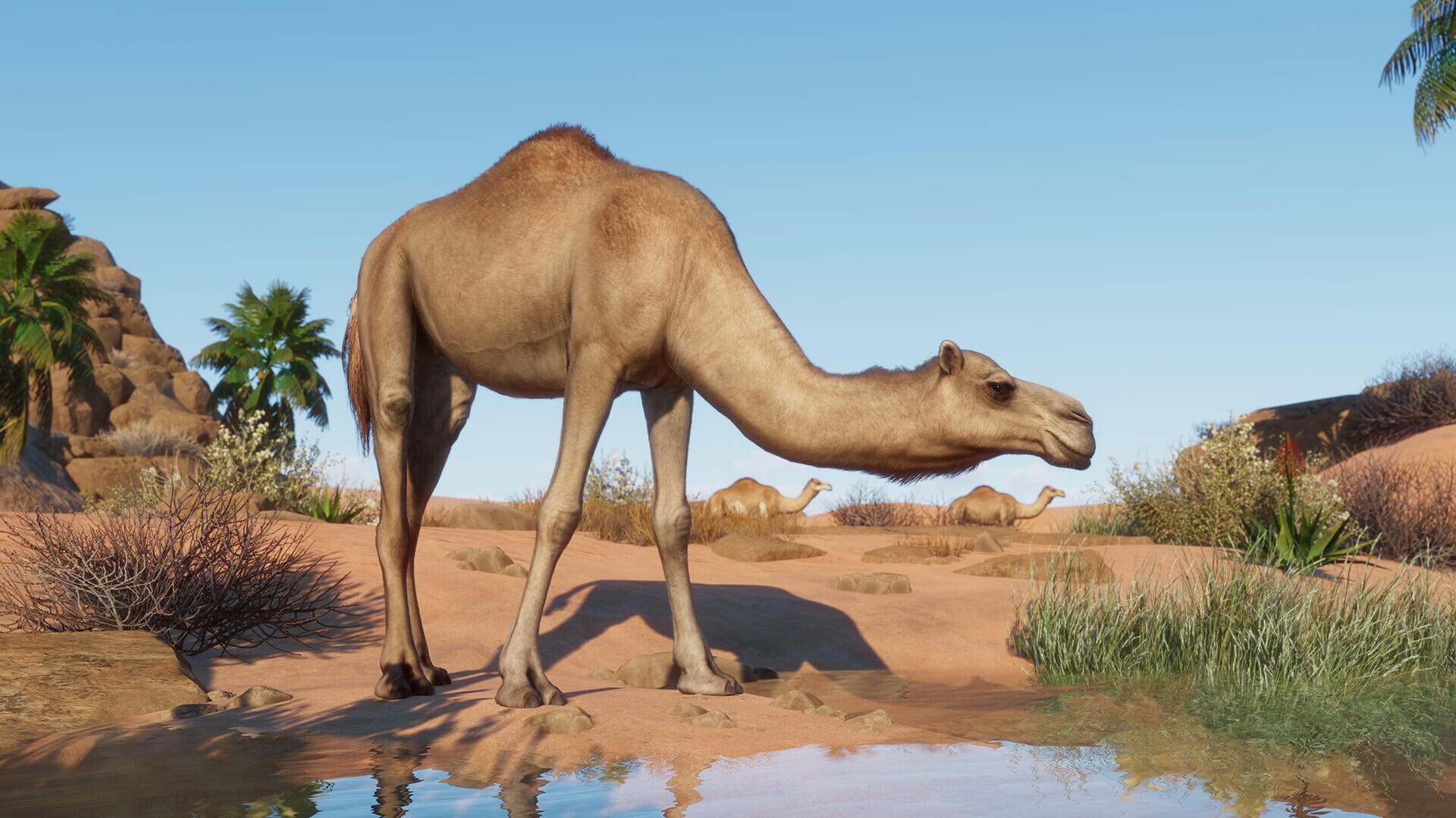 Planet Zoo Arid Animal Pack