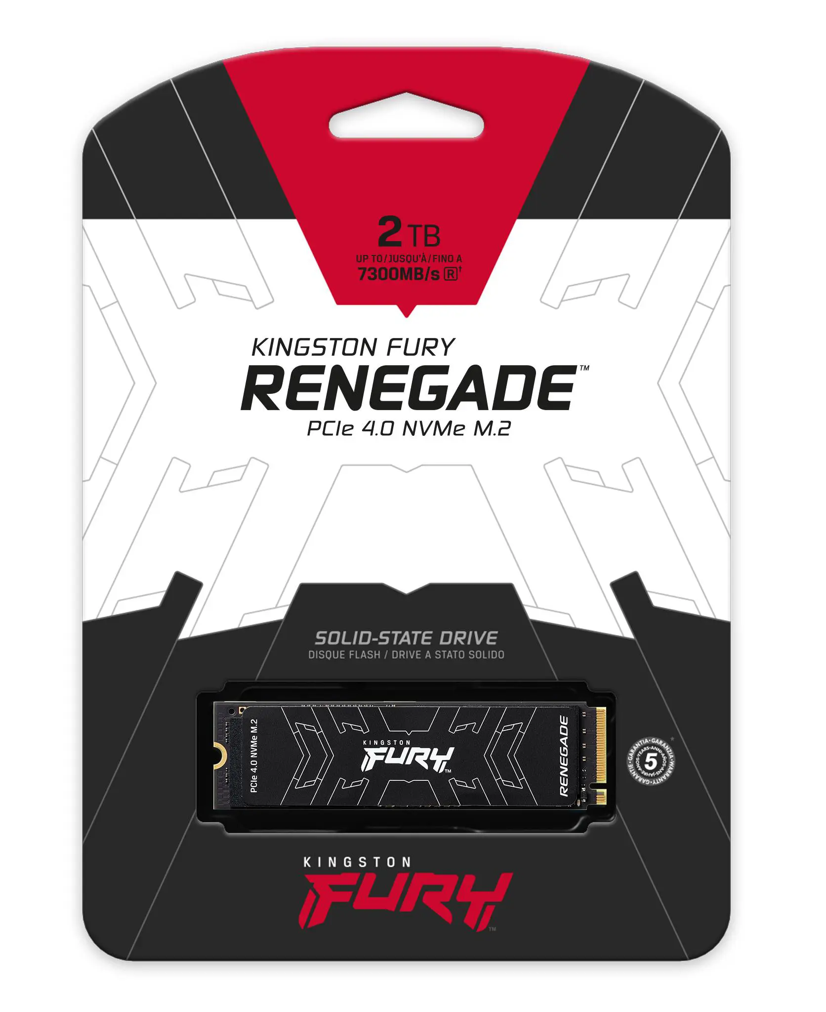 Kingston FURY Renegade