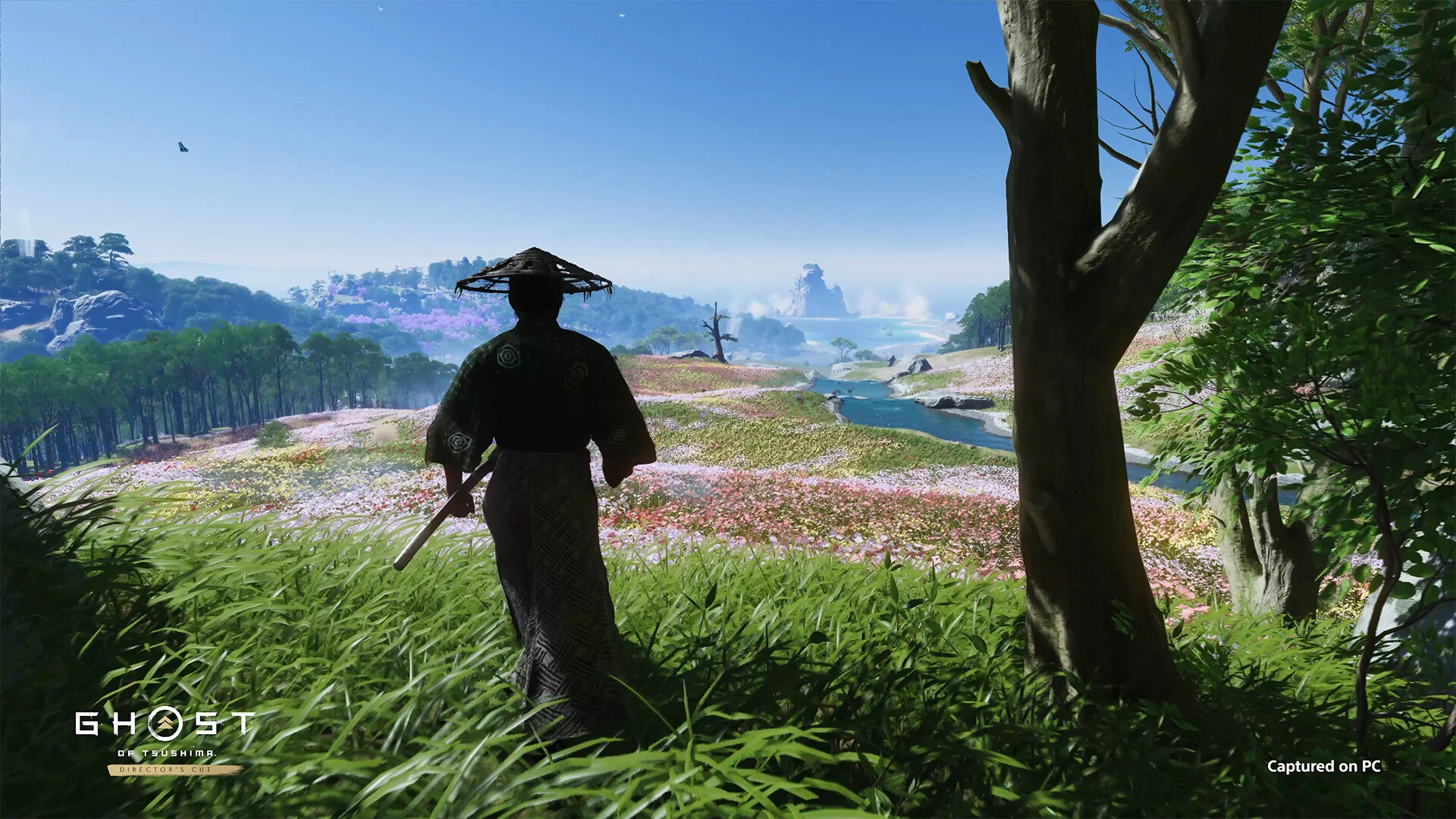 Ghost of Tsushima Director’s Cut