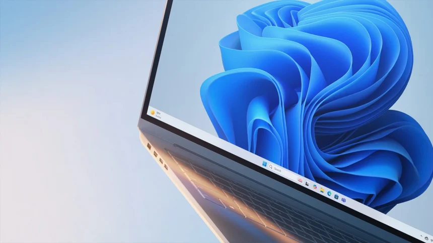Windows 11 Pro